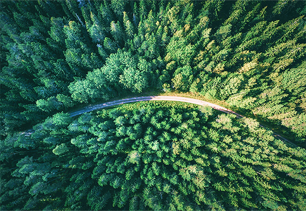 Forestry